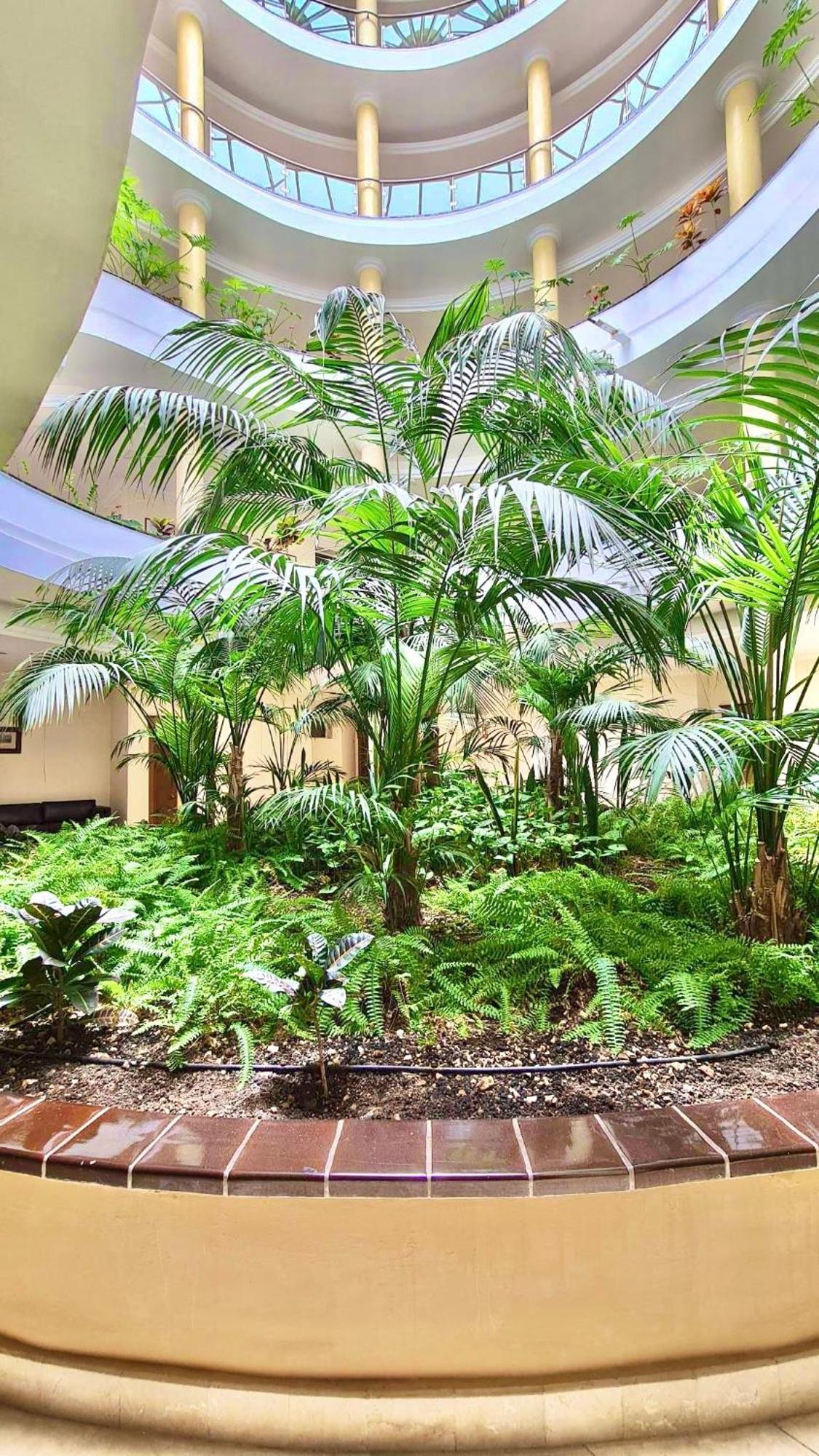 El Nautico Apartment San Miguel de Abona Ngoại thất bức ảnh
